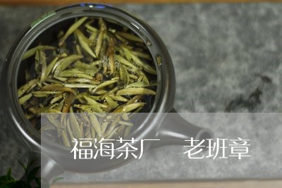 福海茶厂 老班章/2023032827251